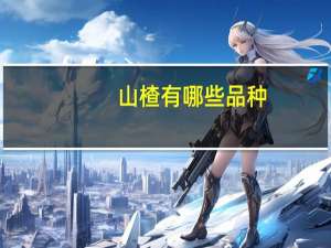 山楂有哪些品种