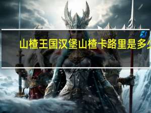 山楂王国 汉堡山楂卡路里是多少