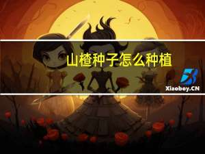 山楂种子怎么种植