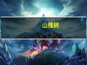 山槐树（山槐）