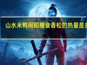 山水 米鸭间稻膳食香松的热量是多少