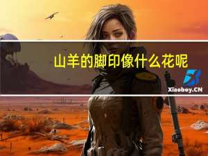 山羊的脚印像什么花呢