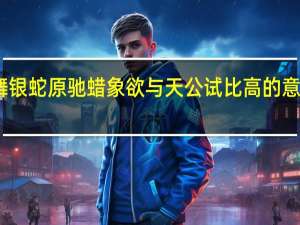 山舞银蛇原驰蜡象欲与天公试比高的意思是什么