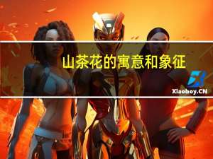 山茶花的寓意和象征