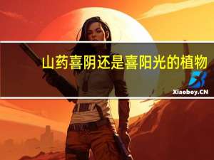 山药喜阴还是喜阳光的植物