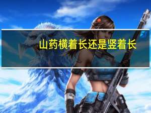 山药横着长还是竖着长