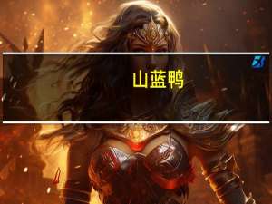 山蓝鸭（关于山蓝鸭的介绍）