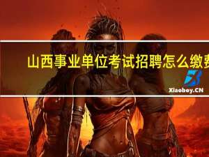 山西事业单位考试招聘怎么缴费