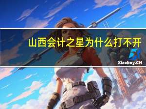 山西会计之星为什么打不开