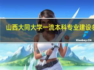 山西大同大学一流本科专业建设名单