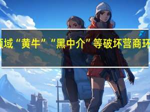 山西开展能源领域“黄牛”“黑中介”等破坏营商环境问题专项整治工作