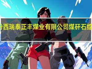 山西汾西瑞泰正丰煤业有限公司煤矸石综合利用项目