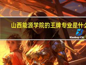 山西能源学院的王牌专业是什么