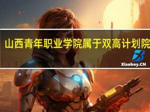 山西青年职业学院属于双高计划院校吗