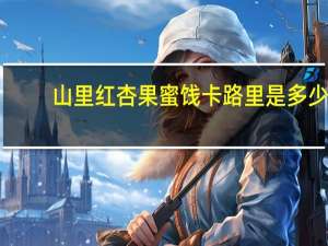 山里红 杏果蜜饯卡路里是多少