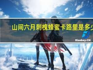 山间六月 刺槐蜂蜜卡路里是多少