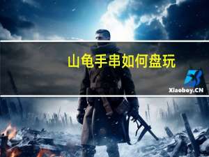 山龟手串如何盘玩