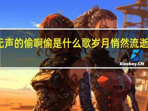 岁月无声的偷啊偷是什么歌 岁月悄然流逝的偷窃之歌