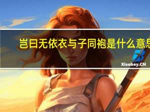 岂曰无依衣与子同袍是什么意思
