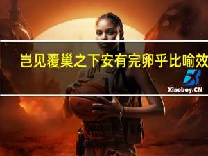 岂见覆巢之下安有完卵乎比喻效果