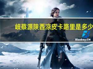 岐蔡源 陕西凉皮卡路里是多少