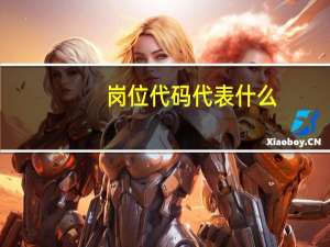 岗位代码代表什么