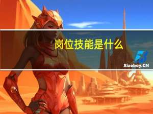 岗位技能是什么