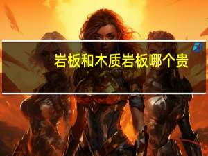 岩板和木质岩板哪个贵