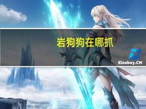 岩狗狗在哪抓