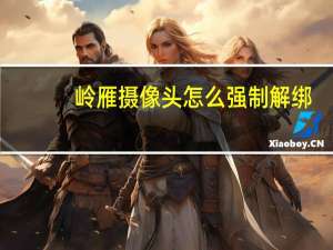 岭雁摄像头怎么强制解绑