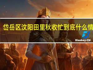 岱岳区汶阳田里秋收忙 到底什么情况嘞