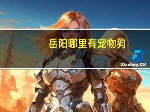 岳阳哪里有宠物狗