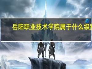 岳阳职业技术学院属于什么级别