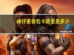 峰仔 麦香包卡路里是多少