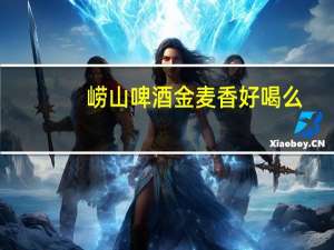 崂山啤酒金麦香好喝么