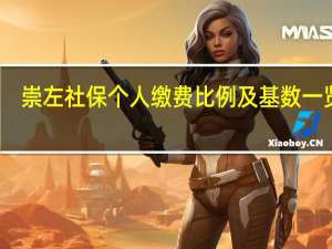 崇左社保个人缴费比例及基数一览表