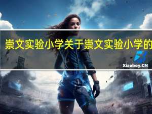 崇文实验小学 关于崇文实验小学的介绍