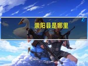 崇阳县是哪里