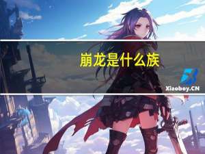 崩龙是什么族