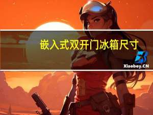 嵌入式双开门冰箱尺寸（双开门冰箱尺寸）