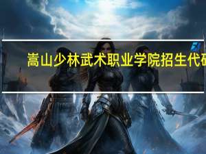 嵩山少林武术职业学院招生代码