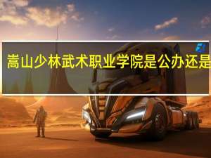 嵩山少林武术职业学院是公办还是民办