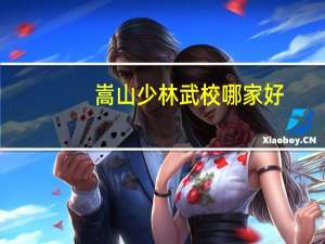 嵩山少林武校哪家好