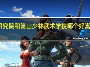 嵩山少林研究院和嵩山少林武术学校哪个好 嵩山少林文武学院