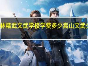 嵩山少林精武文武学校学费多少 嵩山文武少林学校学费