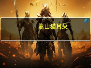 嵩山 猫耳朵(香辣味)的热量是多少