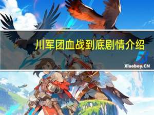 川军团血战到底剧情介绍（关于川军团血战到底剧情介绍的介绍）