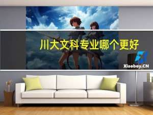 川大文科专业哪个更好