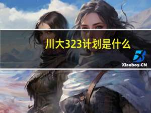 川大323计划是什么