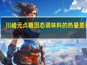 川崎 元贞糖 固态调味料的热量是多少